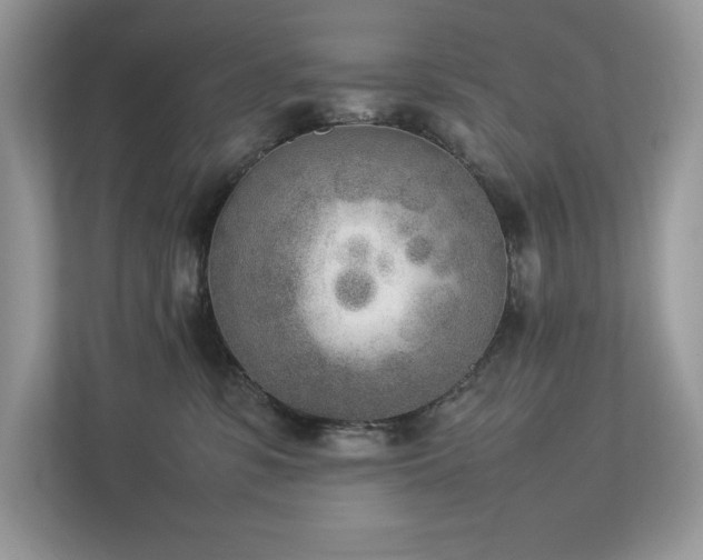 X0000112850331200908211305