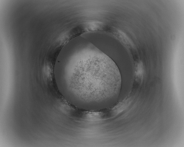 X0000112850332200908211305