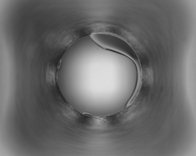 X0000112850333200908211305