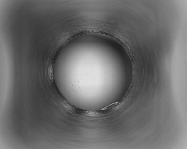 X0000112850336200908211305