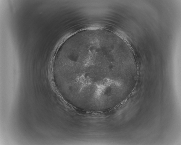 X0000112850337200908211305