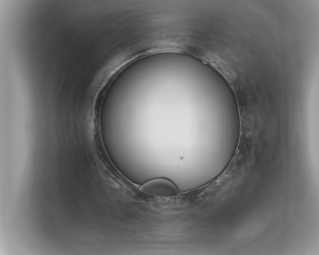 X0000112850338200908211305