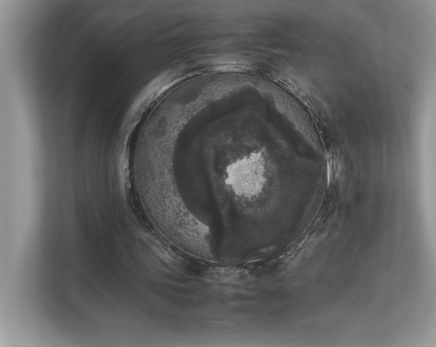 X0000112850339200908211305