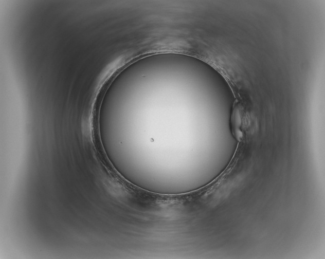 X0000112850340200908211305