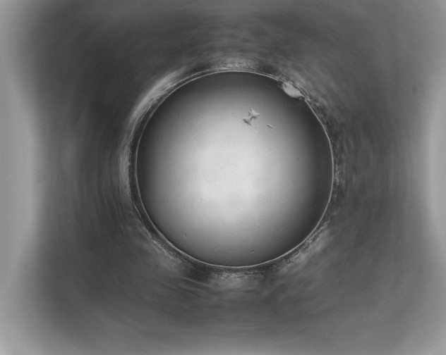 X0000112850341200908211305