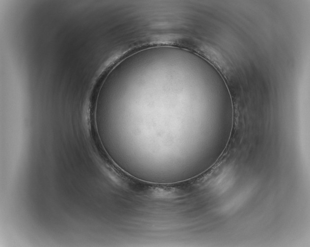 X0000112850346200908211305