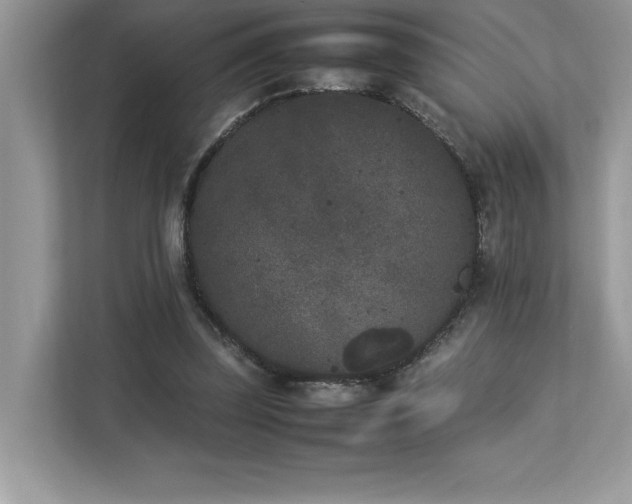 X0000112850347200908211305