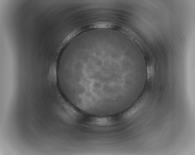 X0000112850349200908211305