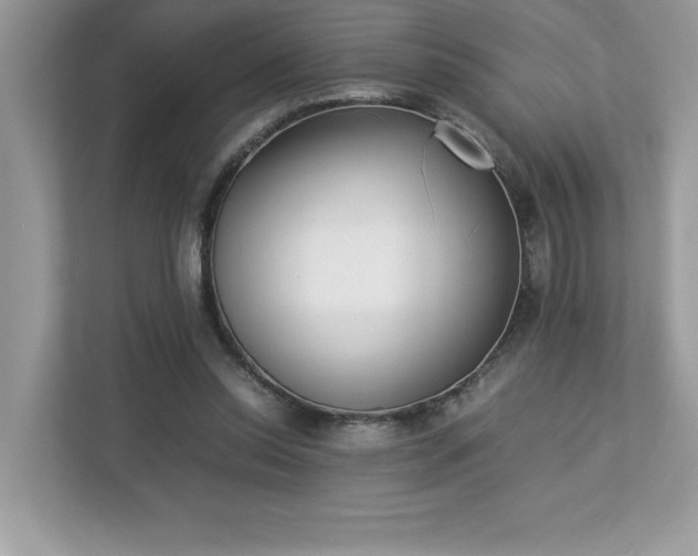 X0000112850350200908211305