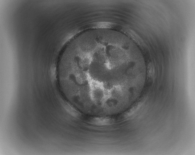 X0000112850351200908211305