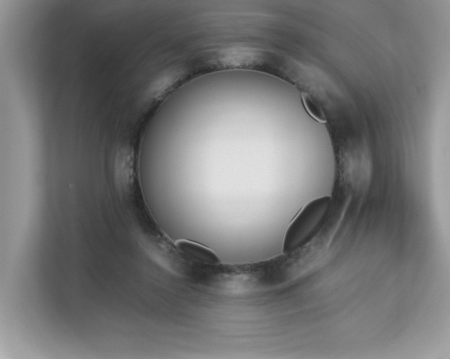 X0000112850356200908211305