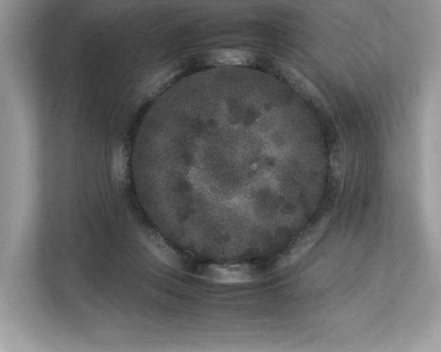X0000112850359200908211305