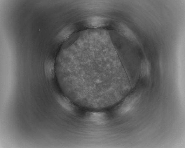 X0000112850360200908211305
