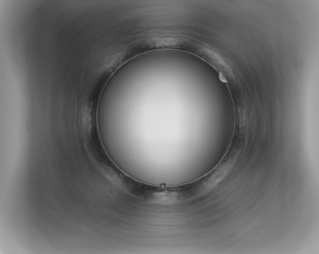 X0000112850362200908211305