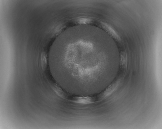 X0000112850363200908211305