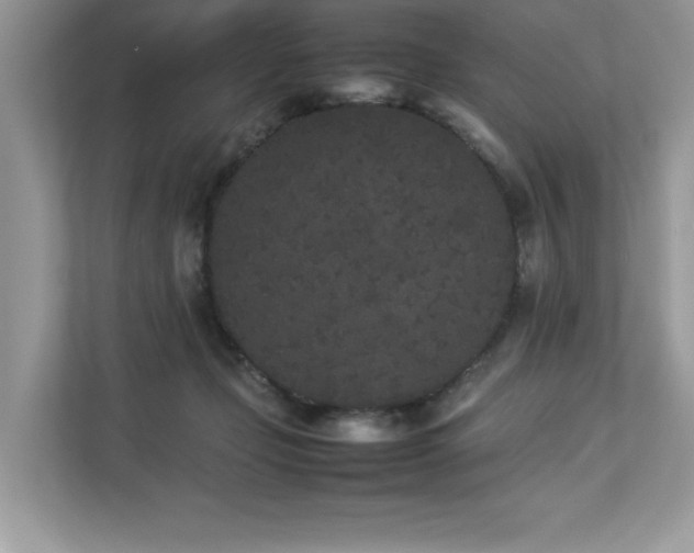 X0000112850365200908211305