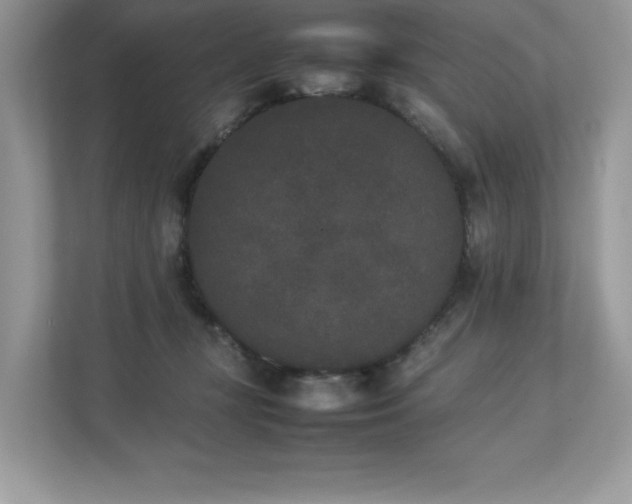 X0000112850367200908211305