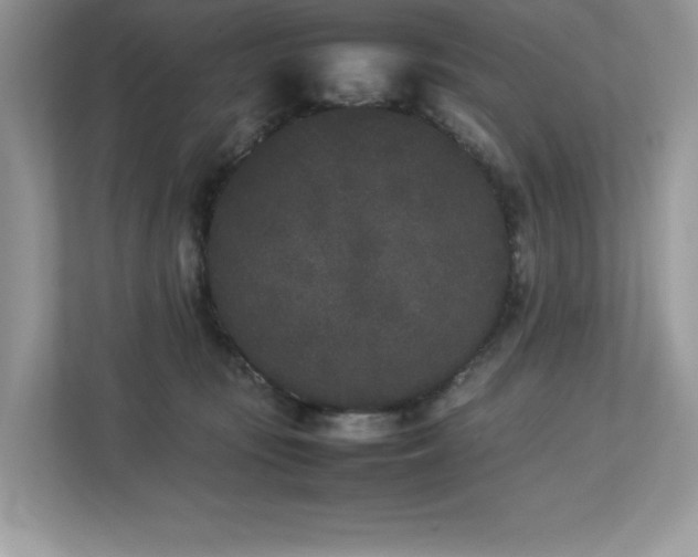 X0000112850371200908211305