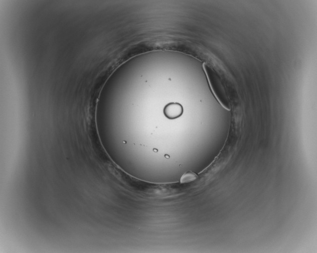 X0000112850372200908211305