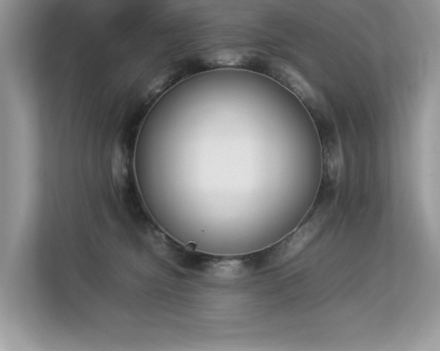 X0000112850374200908211305