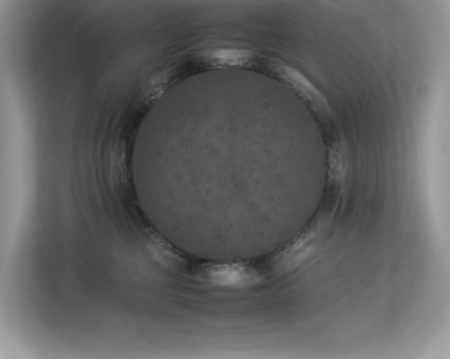 X0000112850377200908211305