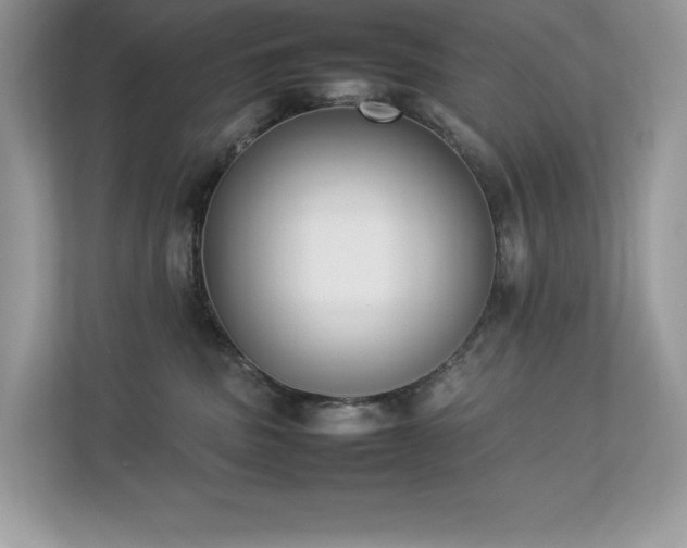 X0000112850379200908211305
