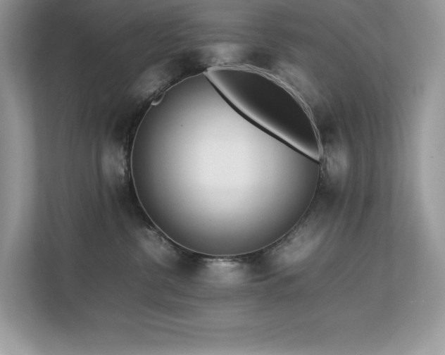 X0000112850380200908211305