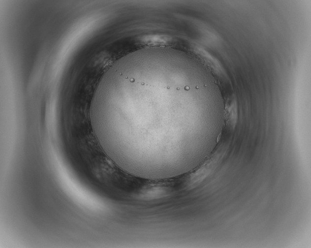 X0000112850381200908211305
