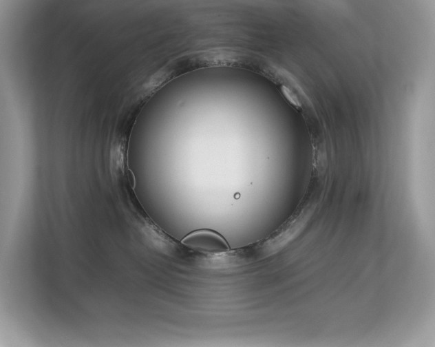 X0000112850382200908211305