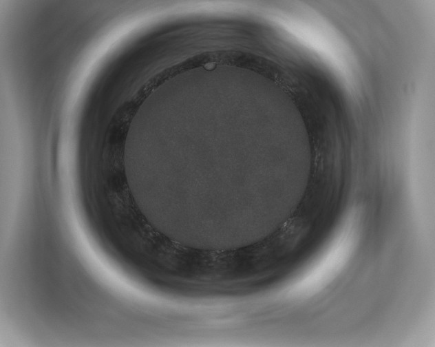X0000112850383200908211305