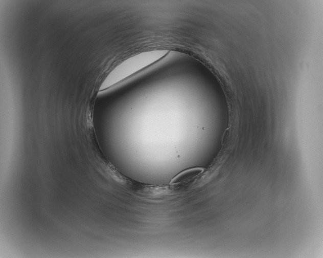 X0000112850384200908211305