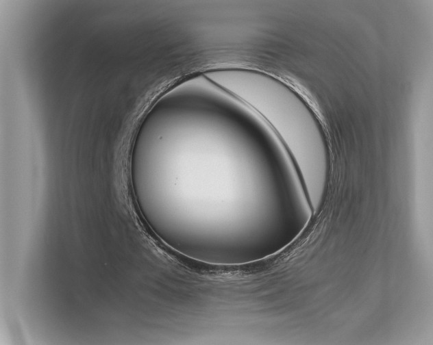 X0000112850385200908211305