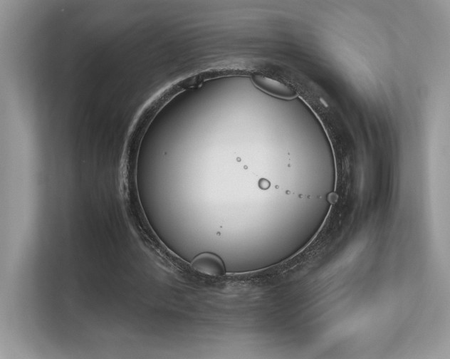 X0000112850388200908211305
