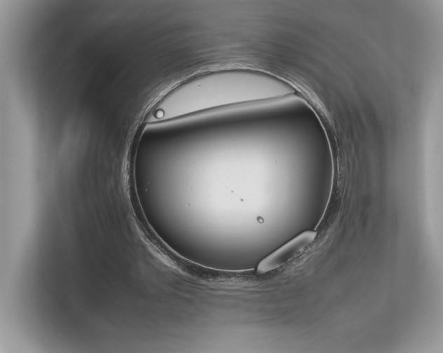 X0000112850389200908211305