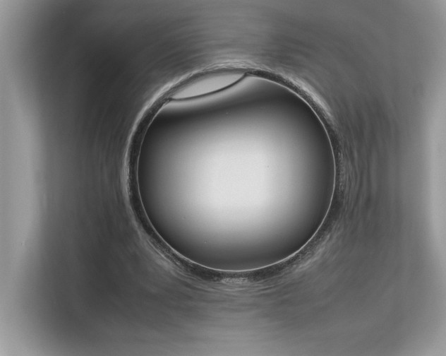 X0000112850391200908211305