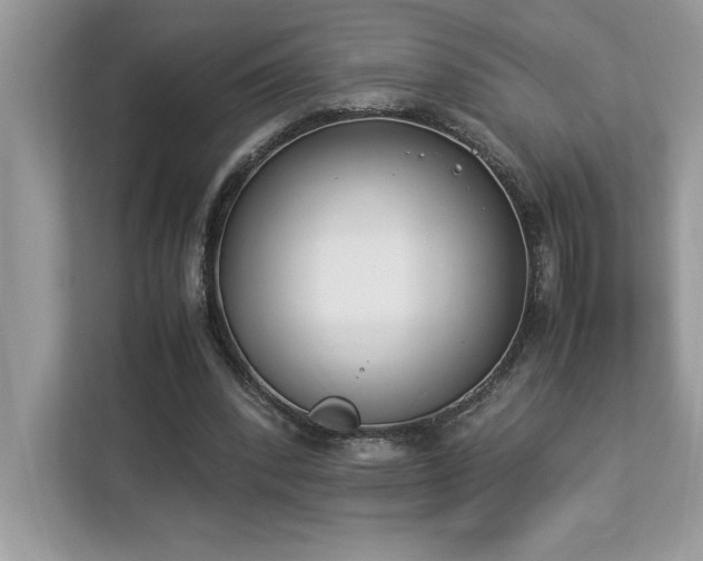 X0000112850392200908211305