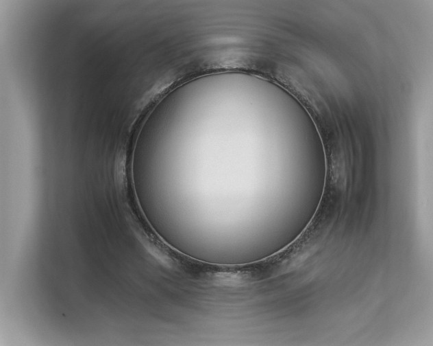 X0000112850394200908211305