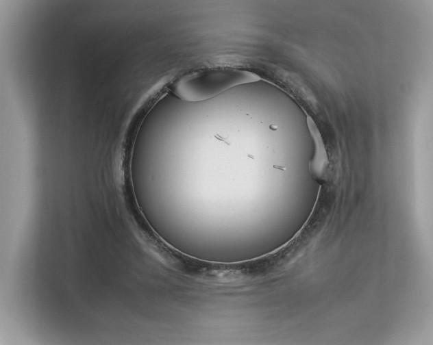 X0000112850395200908211305