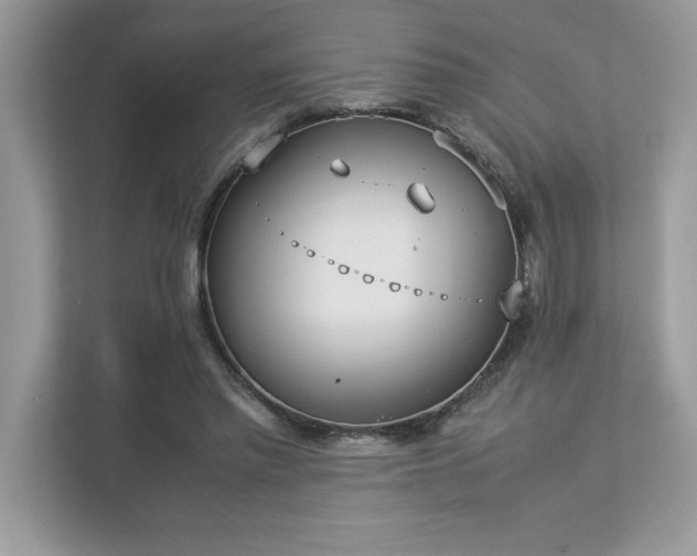 X0000112850397200908211305