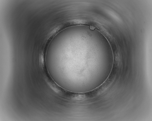 X0000112850398200908211305