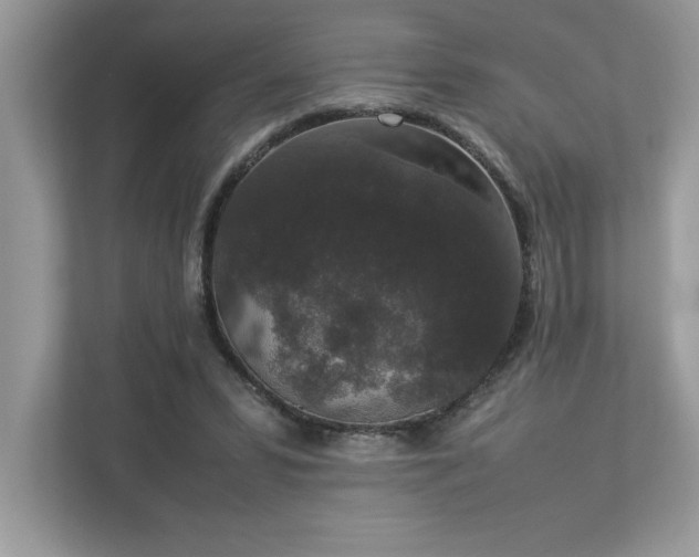 X0000112850399200908211305