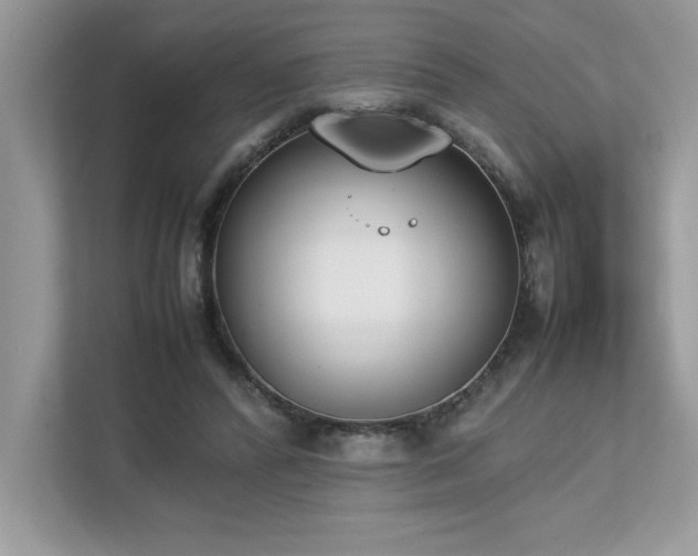 X0000112850400200908211305