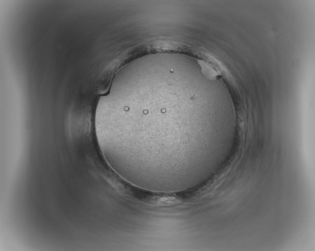 X0000112850401200908211305