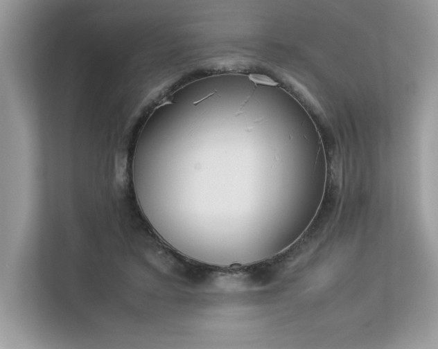X0000112850403200908211305