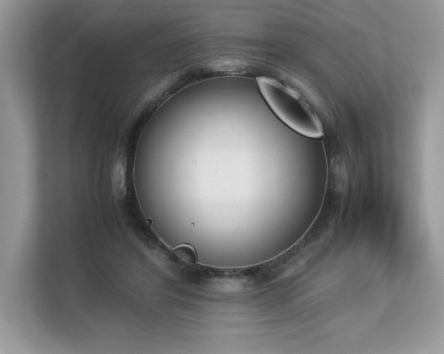 X0000112850404200908211305