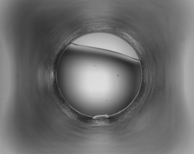X0000112850405200908211305