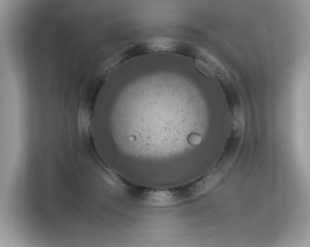 X0000112850409200908211304