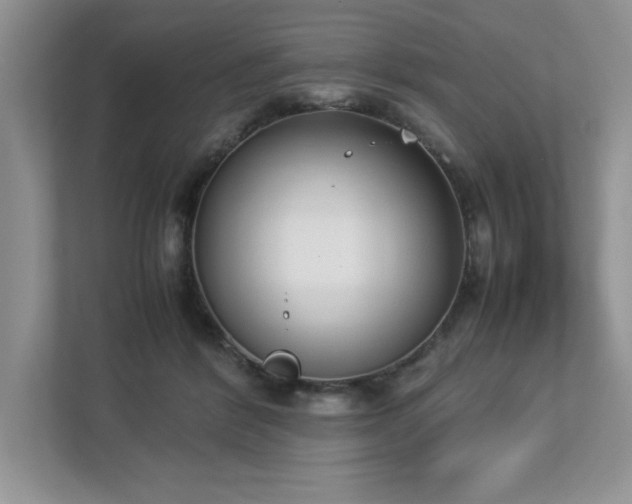 X0000112850412200908211304