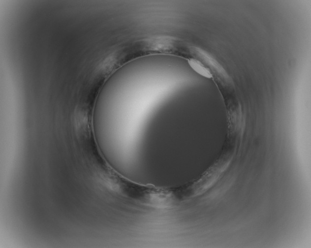 X0000112850415200908211304