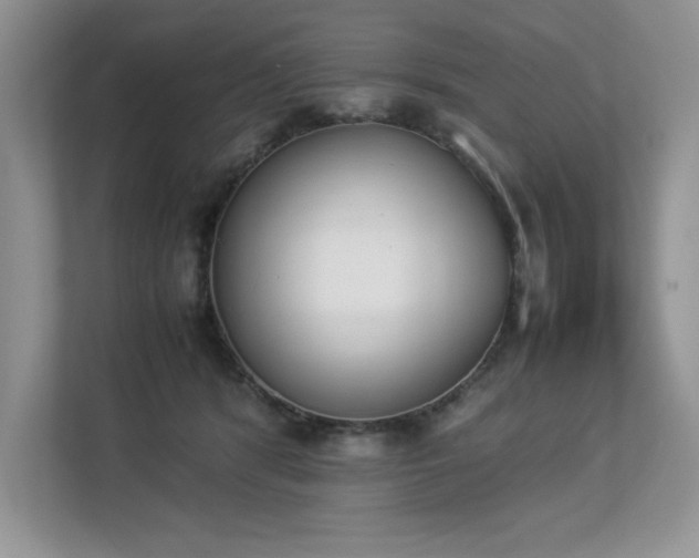 X0000112850416200908211304